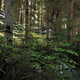 A screenshot from a heavily modded version of Skyrim.